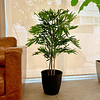 Planta Artificial Decorativa Arbol Grande Bamboo 120cm 730hj 3