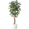 Planta Artificial Decorativa Arbol Grande Ficus 180cm 1260h 1