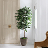 Planta Artificial Decorativa Arbol Grande Ficus 180cm 1260h 5