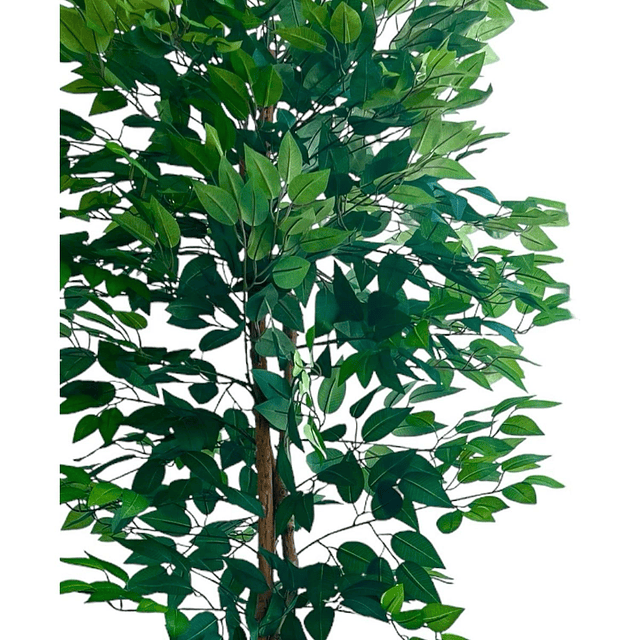 Planta Artificial Decorativa Arbol Grande Ficus 180cm 1260h 10