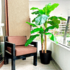 Planta Artificial Decorativa Arbol Grande Banano 160cm 15hj 3