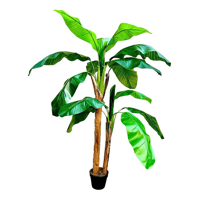 Planta Artificial Decorativa Arbol Grande Banano 160cm 15hj 4