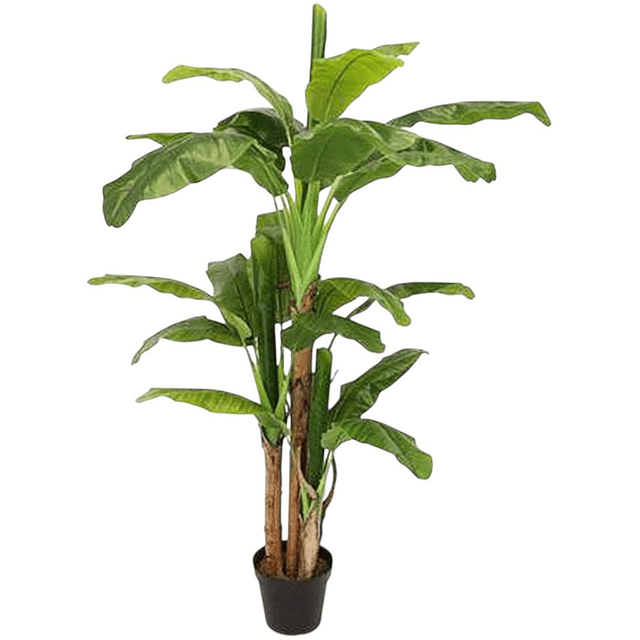 Planta Artificial Decorativa Arbol Grande Banano 230cm 26hjs 1