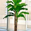 Planta Artificial Decorativa Arbol Grande Banano 230cm 26hjs 2