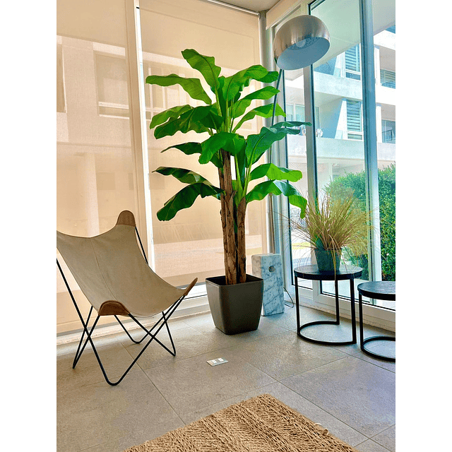 Planta Artificial Decorativa Arbol Grande Banano 230cm 26hjs 3