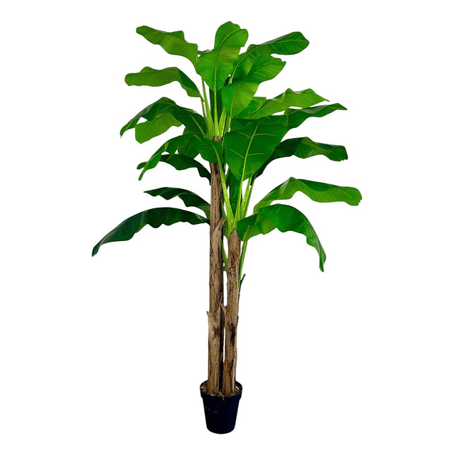 Planta Artificial Decorativa Arbol Grande Banano 230cm 26hjs 9