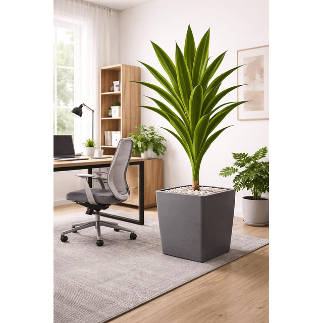 Drácaena Artificial Grande 160 cm Planta Decorativa Interior 3
