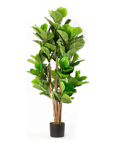 Planta Artificial Decorativa Arbol Grande Ficus Lyrata 120c