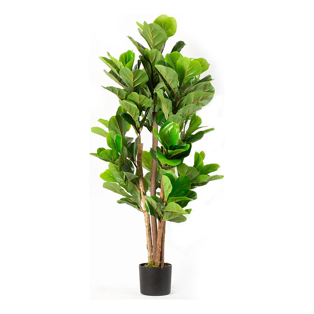 Planta Artificial Decorativa Arbol Grande Ficus Lyrata 120c 1