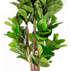 Planta Artificial Decorativa Arbol Grande Ficus Lyrata 120c 1