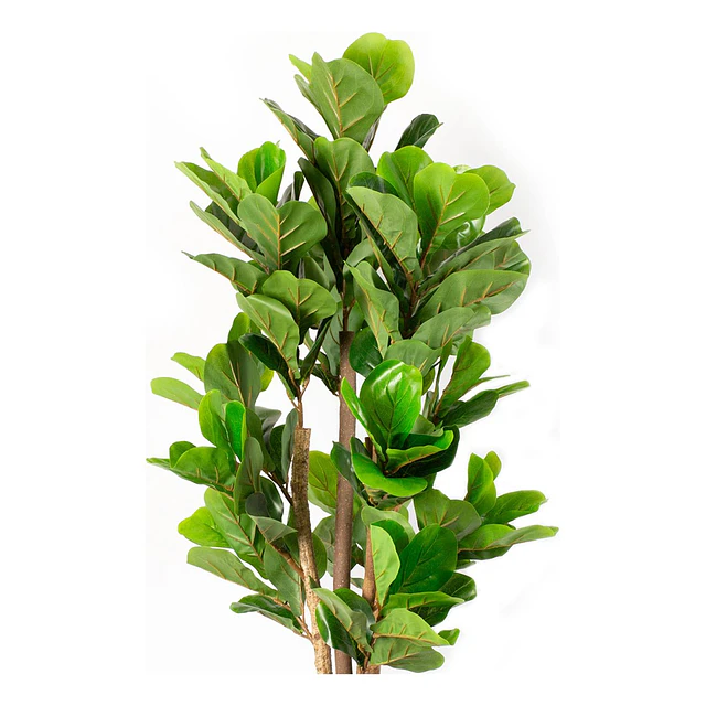 Planta Artificial Decorativa Arbol Grande Ficus Lyrata 120c 2