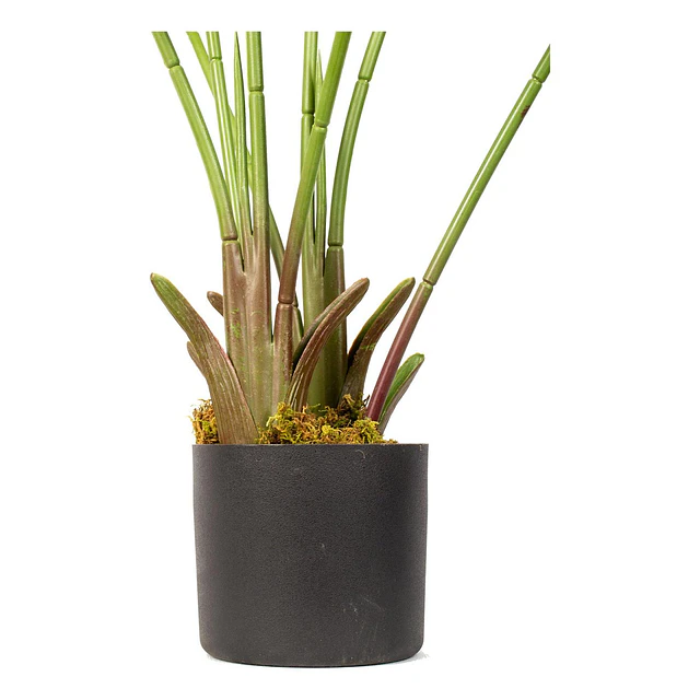Planta Artificial Decorativa Arbol Grande Ave Paraiso 120cm 6