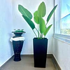 Planta Artificial Decorativa Arbol Grande Ave Paraiso 120cm 7