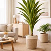 Drácaena Artificial Grande 160 cm Planta Decorativa Interior 2