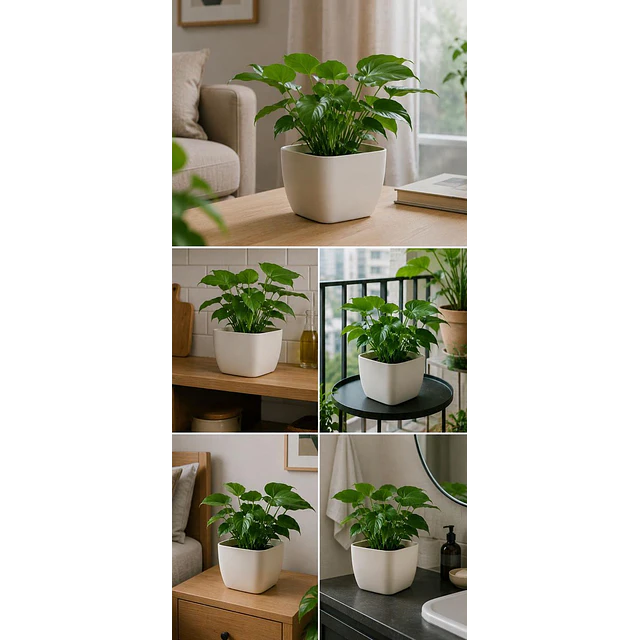 Jardinera Macetero Cuadrada Plastico 20cm Terraza Balcon 17