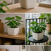 Jardinera Macetero Cuadrada Plastico 20cm Terraza Balcon 17
