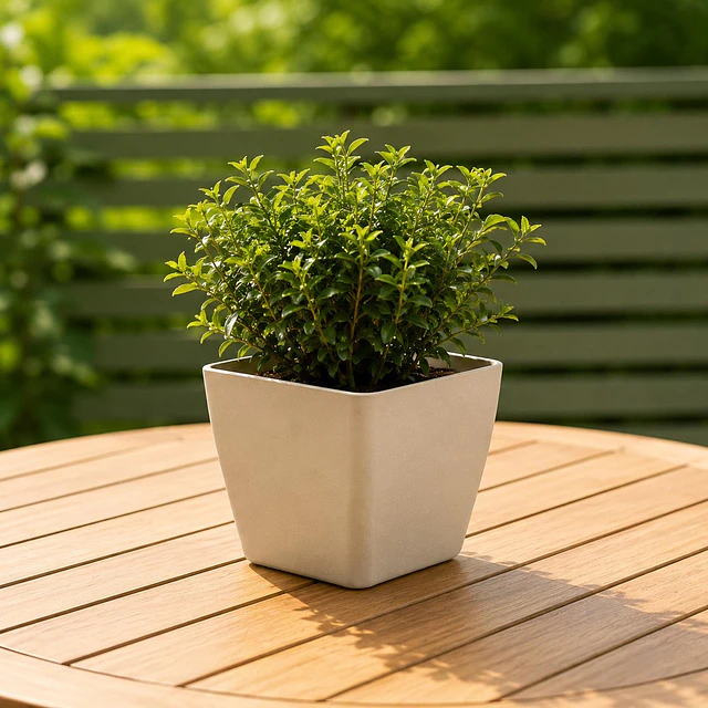 Jardinera Macetero Cuadrada Plastico 20cm Terraza Balcon 12