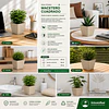 Jardinera Macetero Cuadrada Plastico 20cm Terraza Balcon 15