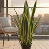 Planta Artificial Lengua de Suegra Sansevieria 60 cm/18 hjs 1