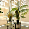 Planta Artificial Lengua de Suegra Sansevieria 60 cm/18 hjs 4