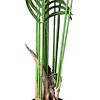 Planta Artificial Decorativa Arbol Grande Palmera 180cm 15h 7