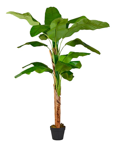 Planta Artificial Decorativa Arbol Grande Banano 160cm 15hj