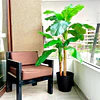 Planta Artificial Decorativa Arbol Grande Banano 160cm 15hj 3