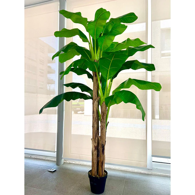 Planta Artificial Decorativa Arbol Grande Banano 230cm 26hjs 2