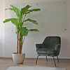 Planta Artificial Decorativa Arbol Grande Pack Banano 180cm 2