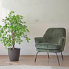 Planta Artificial Decorativa Arbol Grande Pack Ficus 120cm 5