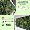 Jardín Muro Vertical Artificial D palmeta Plantas 60x40 cm 11