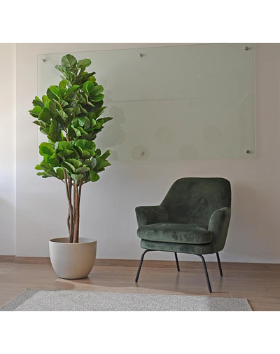 Planta Artificial Decorativa Arbol Grande Ficus Lyrata 180c