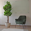Planta Artificial Decorativa Arbol Grande Ficus Lyrata 180c 1