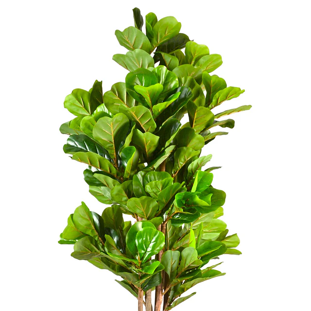 Planta Artificial Decorativa Arbol Grande Ficus Lyrata 180c 5