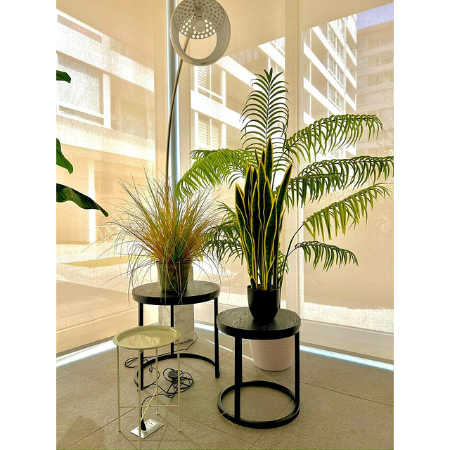 Planta Artificial Lengua de Suegra Sansevieria 75 cm/18 hjs 5