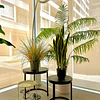 Planta Artificial Lengua de Suegra Sansevieria 75 cm/18 hjs 5