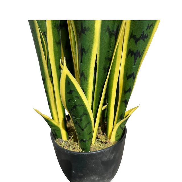 Planta Artificial Lengua de Suegra Sansevieria 75 cm/18 hjs 6