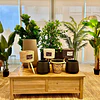 Planta Artificial Decorativa Arbol Grande Bamboo 180cm 1530 7