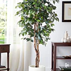 Planta Artificial Decorativa Arbol Grande Ficus 180cm 1260h 1