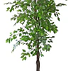 Planta Artificial Decorativa Arbol Grande Ficus 180cm 1260h 4