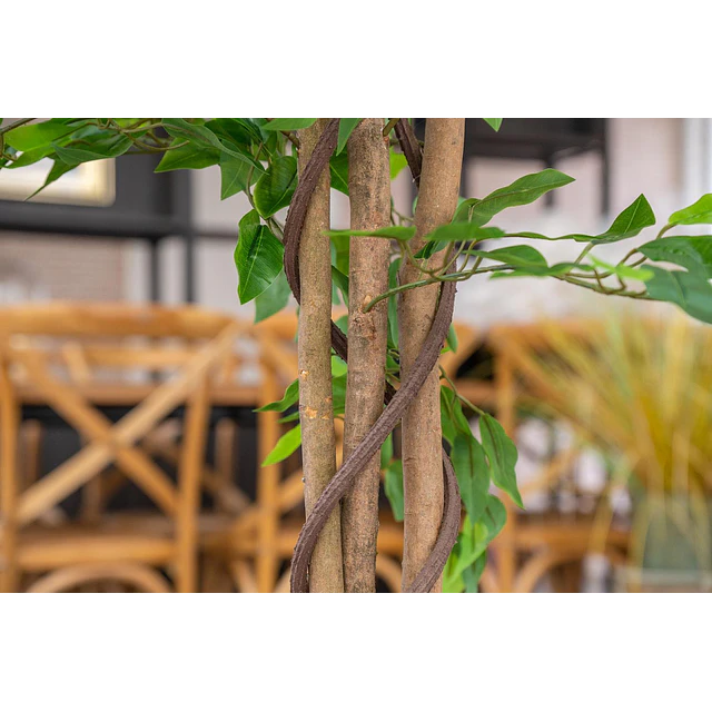 Planta Artificial Decorativa Arbol Grande Ficus 180cm 1260h 6
