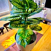 Planta Artificial Arbusto Decorativa Hojas Ralladas 80 Cm 7