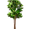 Planta Artificial Decorativa Arbol Grande Ficus Lyrata 180 cm 4