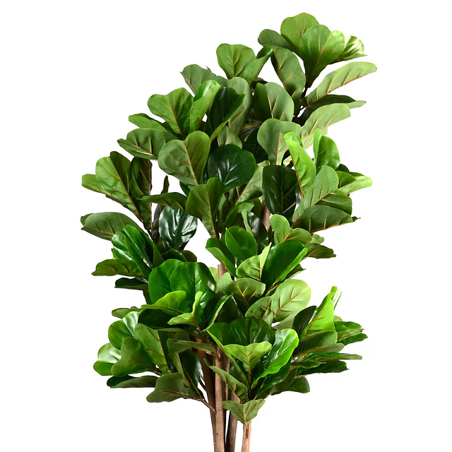Planta Artificial Decorativa Arbol Grande Ficus Lyrata 180 cm 5