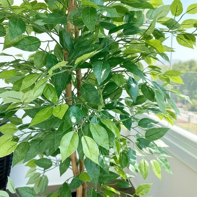 Planta Artificial Decorativa Arbol Grande Ficus 160cm 1008h 5