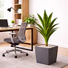 Drácaena Artificial Grande 120 cm Planta Decorativa Interior 1