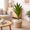 Drácaena Artificial Grande 120 cm Planta Decorativa Interior 2