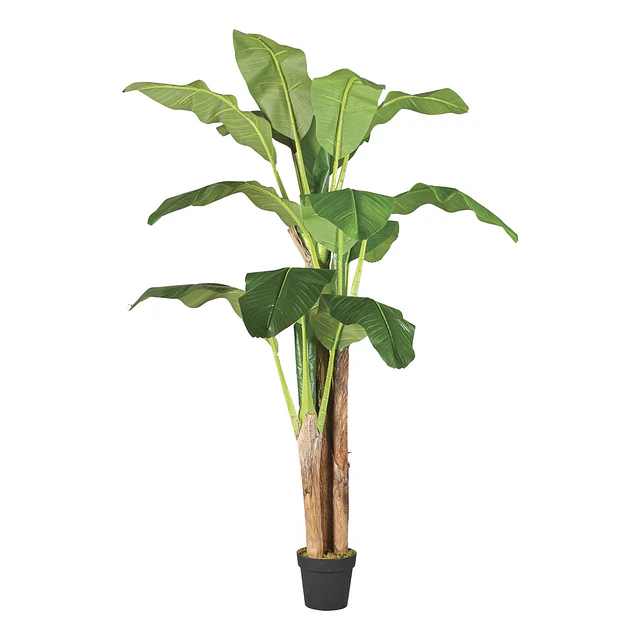 Planta Artificial Decorativa Arbol Grande Banano 180cm 14hjs 1
