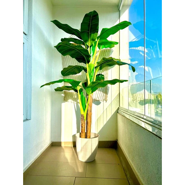Planta Artificial Decorativa Arbol Grande Banano 180cm 14hjs 4