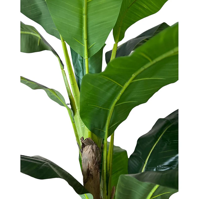 Planta Artificial Decorativa Arbol Grande Banano 180cm 14hjs 7